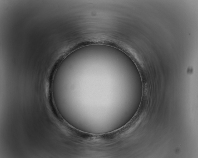 X0000103450589200809121127