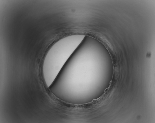 X0000103450593200809121127