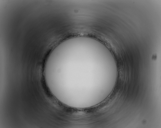 X0000103450594200809121127