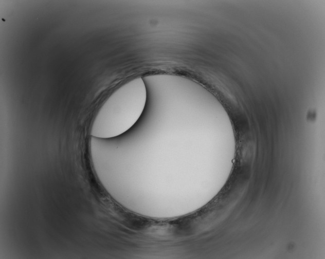 X0000103450595200809121127