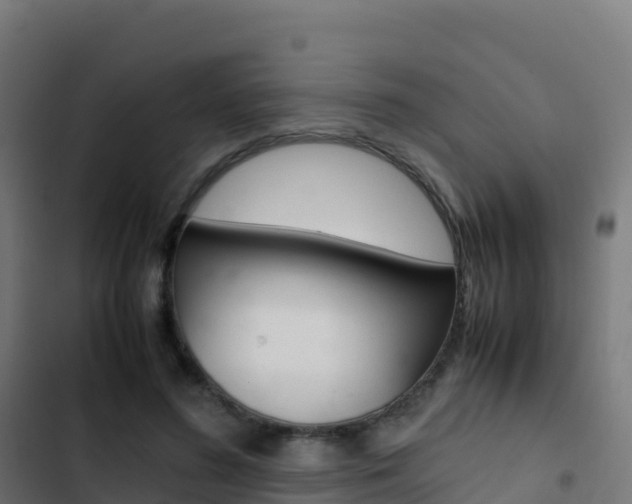 X0000103450596200809121127