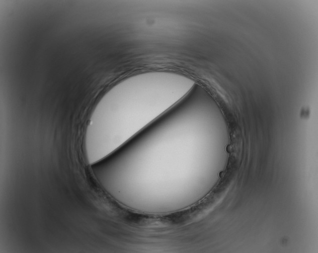X0000103450597200809121127
