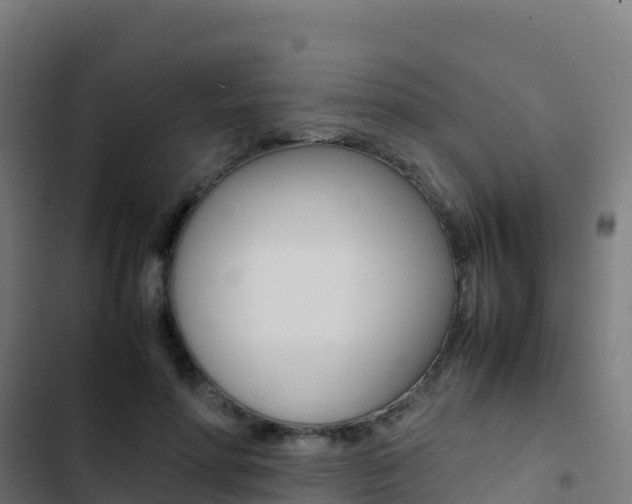 X0000103450598200809121127