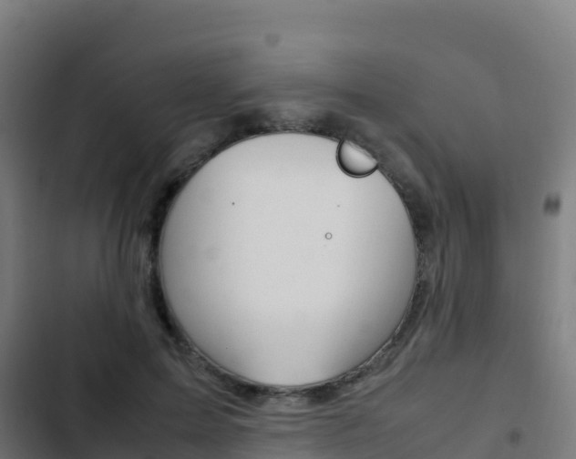 X0000103450599200809121127