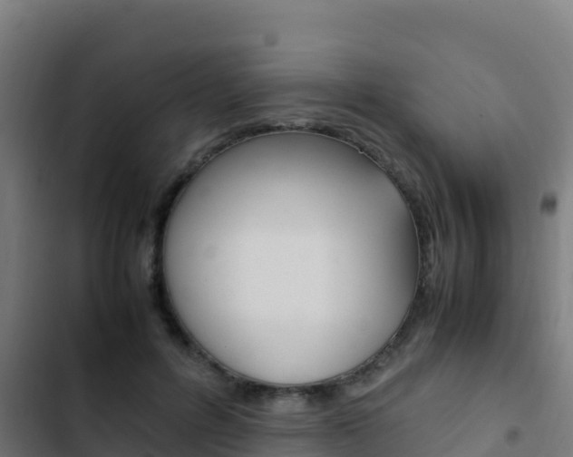 X0000103450600200809121127