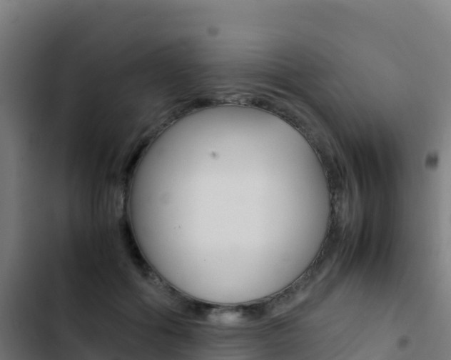 X0000103450602200809121127