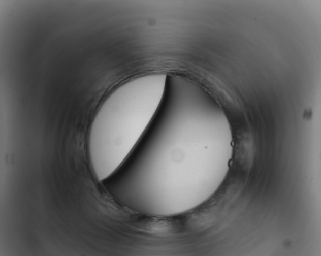 X0000103450604200809121127