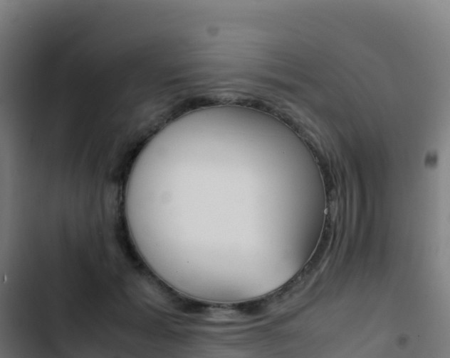 X0000103450605200809121127