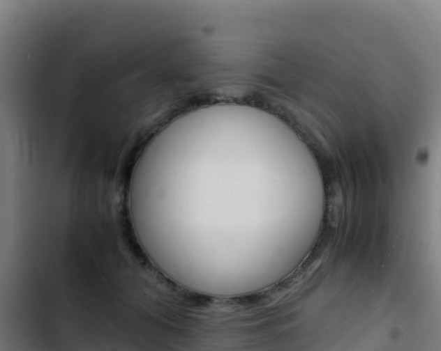 X0000103450608200809121127