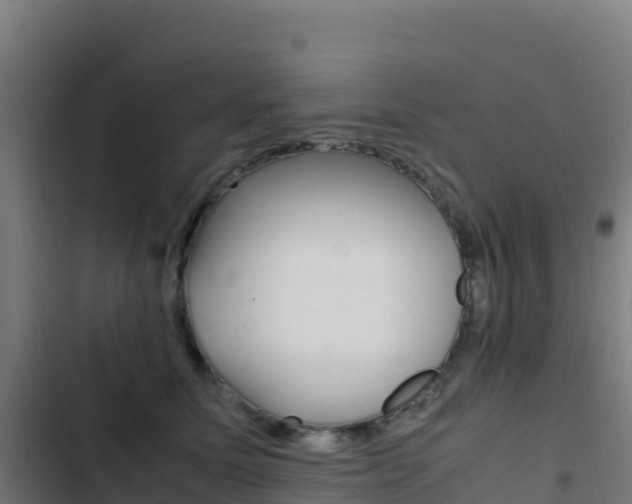 X0000103450611200809121127