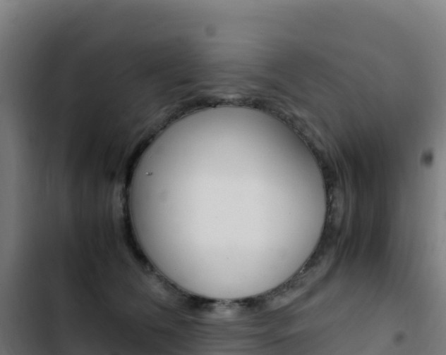 X0000103450612200809121127