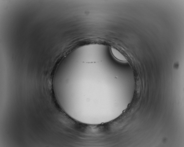 X0000103450613200809121127