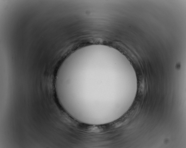 X0000103450616200809121127