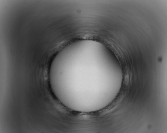 X0000103450620200809121127