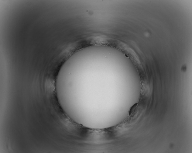 X0000103450621200809121127