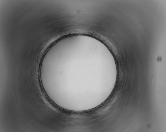 X0000103450625200809121126