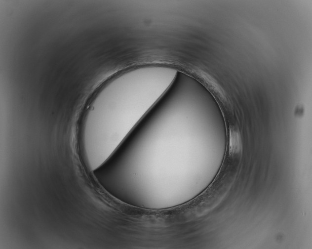 X0000103450627200809121126