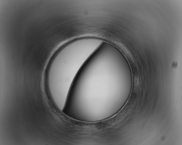 X0000103450628200809121126