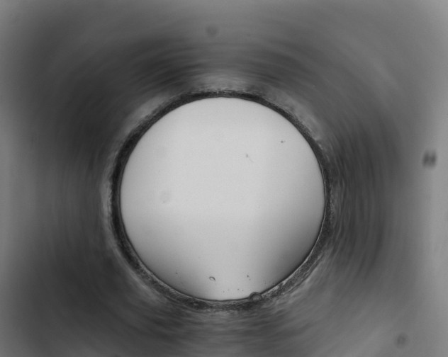 X0000103450629200809121126