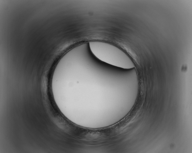 X0000103450631200809121126
