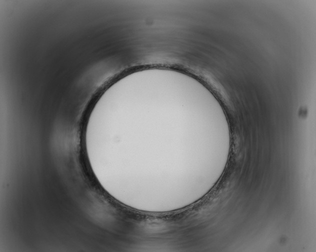 X0000103450632200809121126