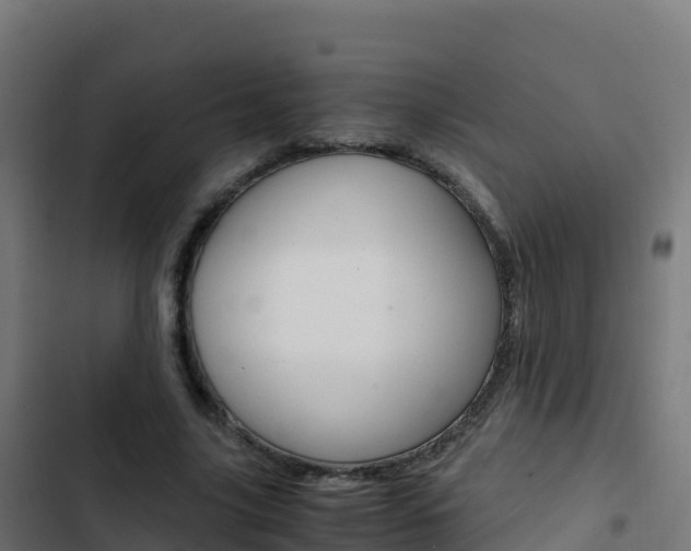 X0000103450635200809121126