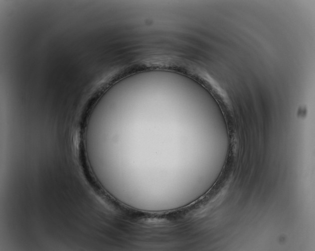 X0000103450637200809121126