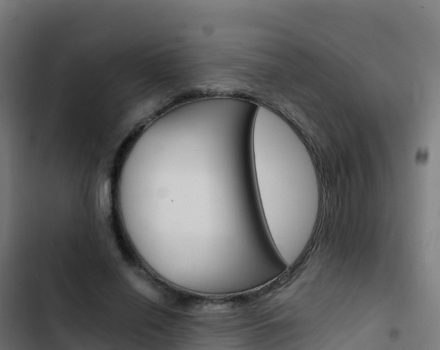 X0000103450638200809121126