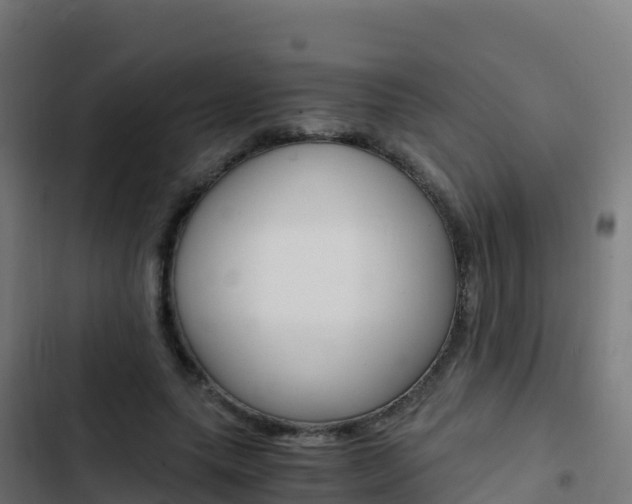 X0000103450639200809121126
