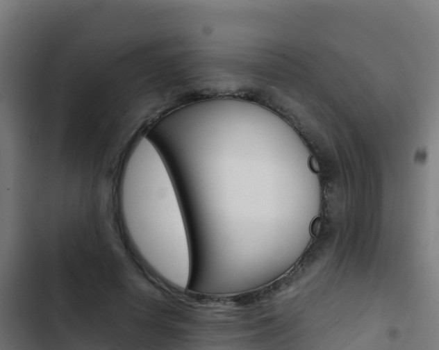 X0000103450642200809121126