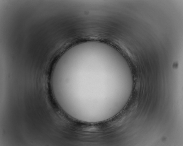 X0000103450643200809121126