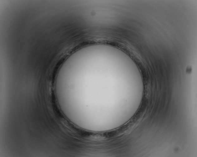 X0000103450644200809121126
