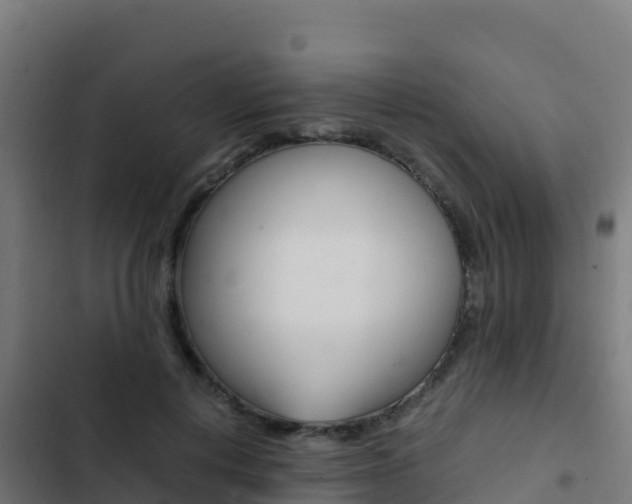 X0000103450648200809121126