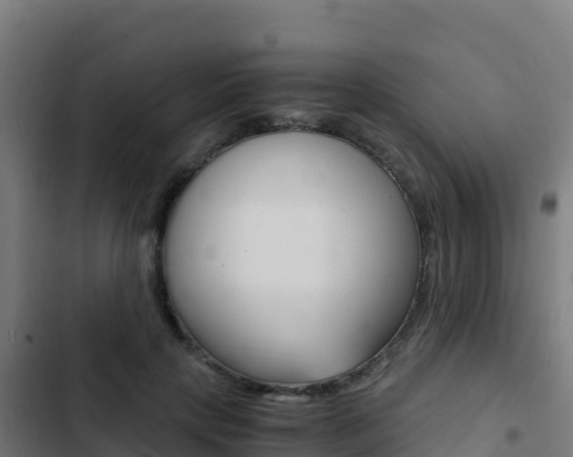 X0000103450649200809121126