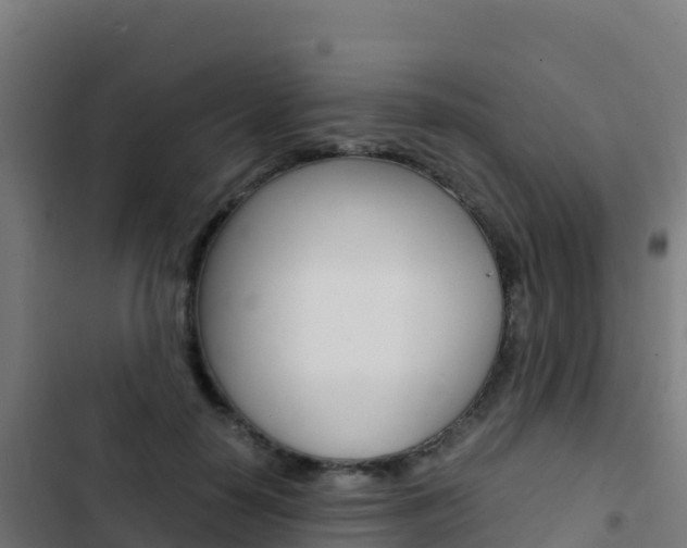 X0000103450650200809121126