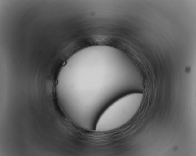 X0000103450651200809121126