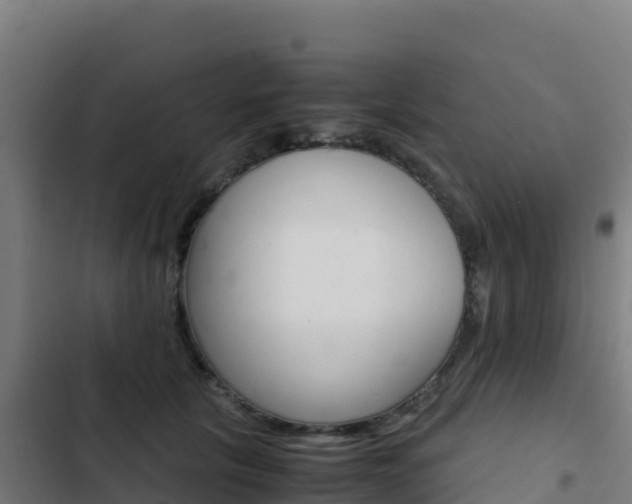 X0000103450657200809121127
