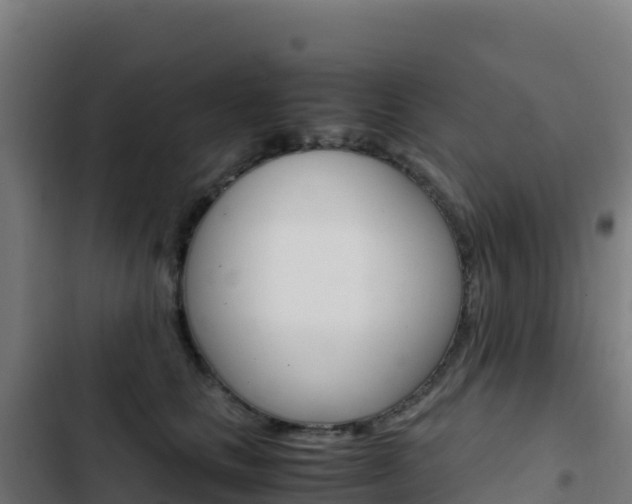 X0000103450661200809121127