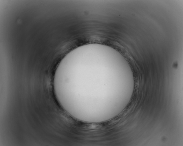X0000103450663200809121127