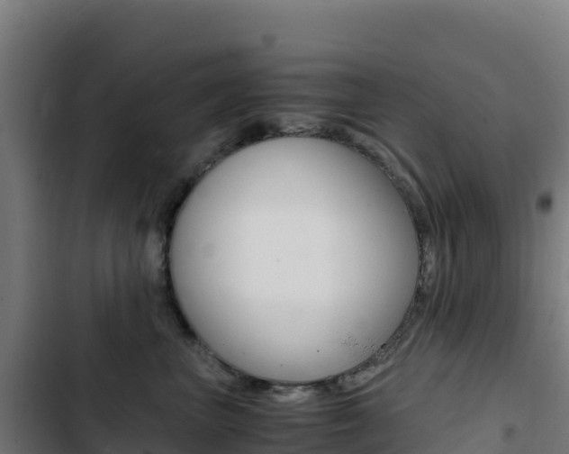 X0000103450667200809121127