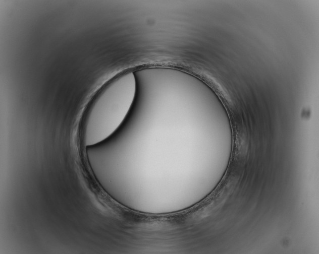 X0000103450674200809121126