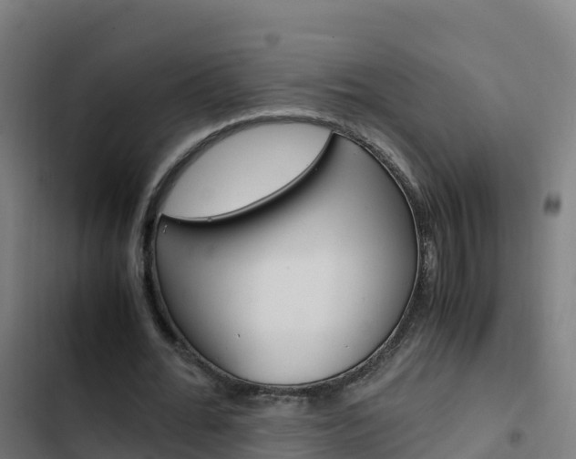 X0000103450676200809121126
