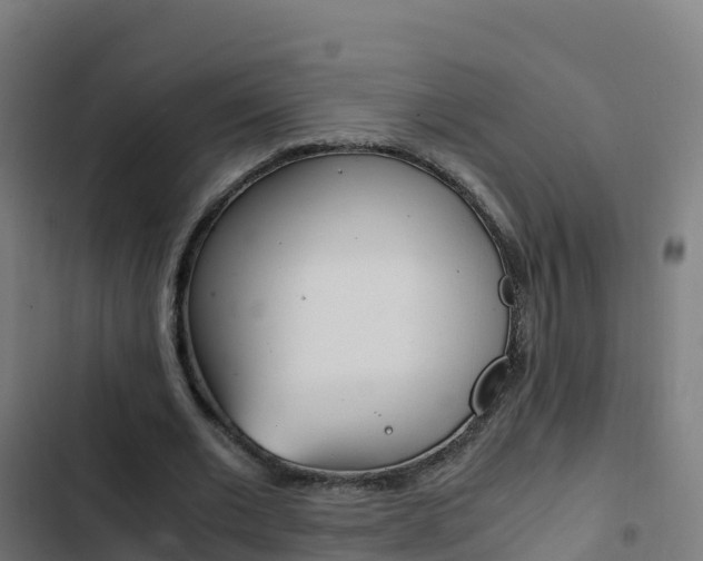 X0000103450677200809121126