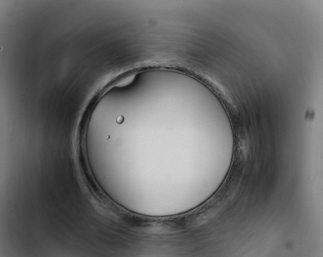 X0000103450678200809121126