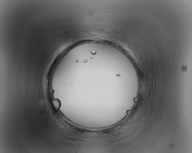X0000103450679200809121126