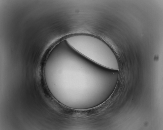 X0000103450680200809121126