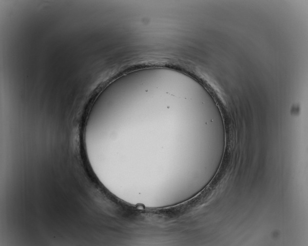 X0000103450681200809121126