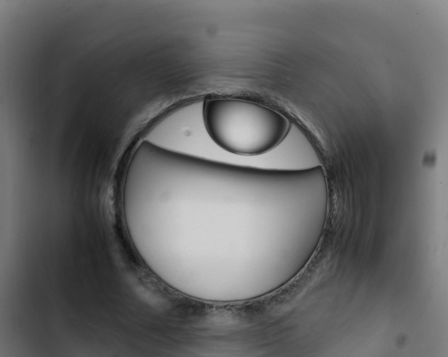 X0000103450682200809121126