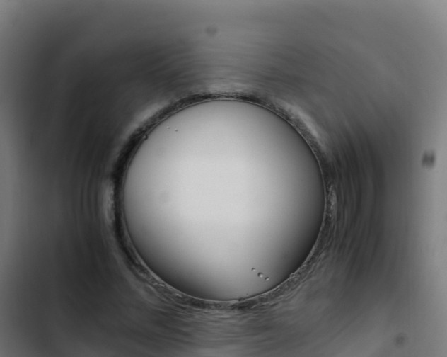 X0000103450684200809121126