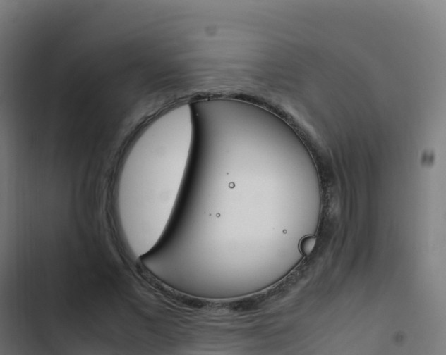 X0000103450685200809121126